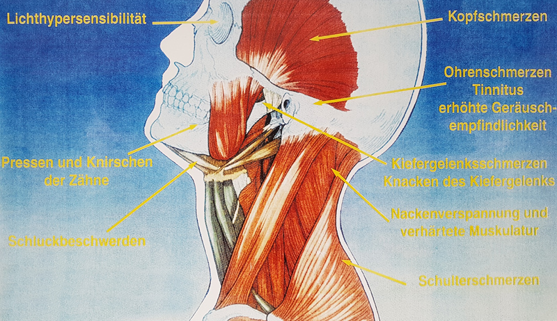 Bionatortherapie